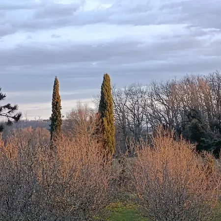 Gite&spa Privatif -le Bois De La Pause- Chalet *